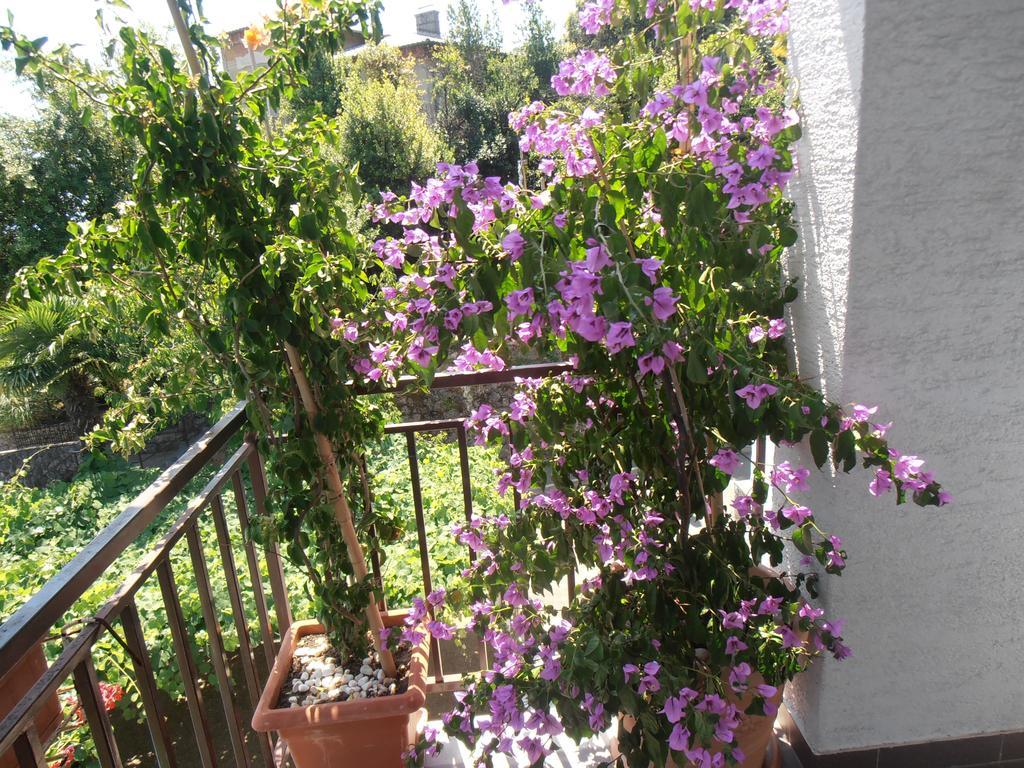 Guesthouse Villa Stanger Lovran Ngoại thất bức ảnh